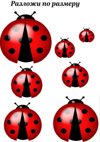 Тематическое занятие Божья коровка