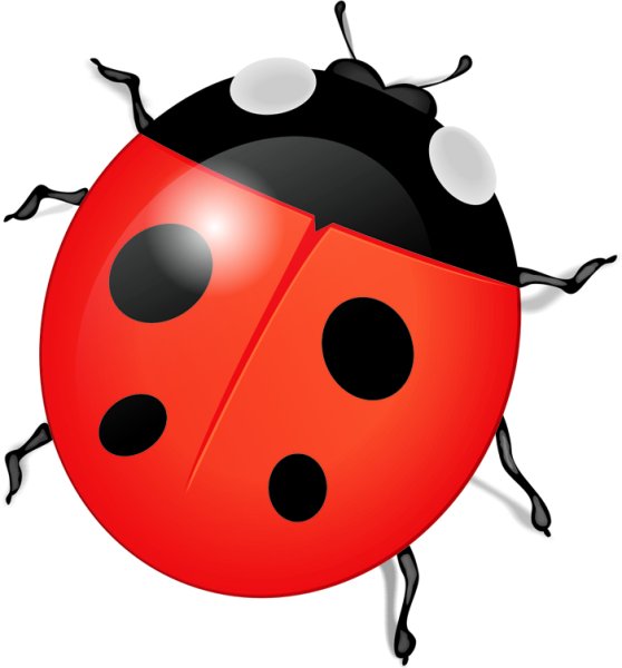 Божья коровка для детского сада