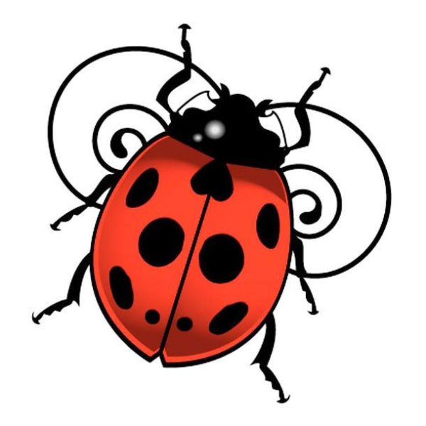 Нарисовать Божью коровку