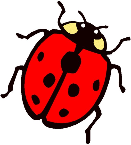 Божья коровка для детей