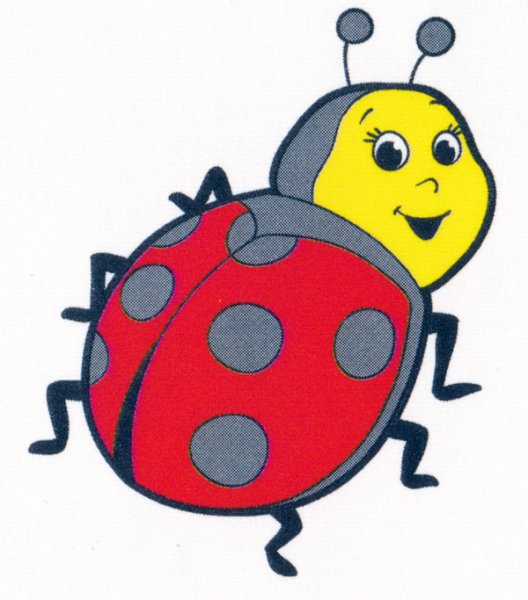 Выжигание Божья коровка