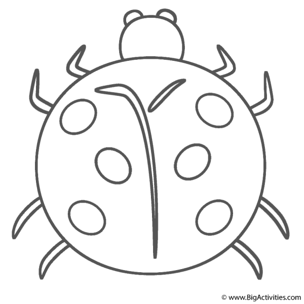 Математические Божьи коровки для дошкольников