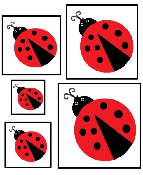 Божья коровка раскраска для детей