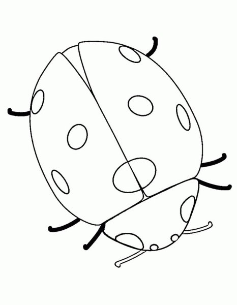 Страшная Божья коровка