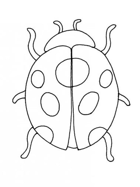 Божья коровка раскраска