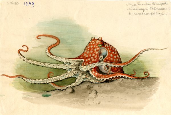 Николай Николаевич Кондаков