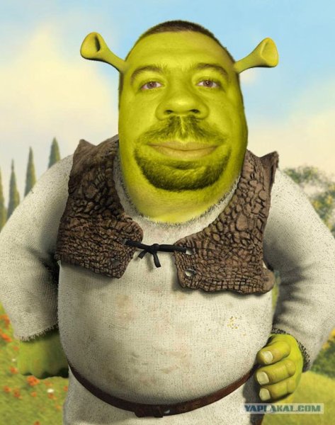 Шрек с усами