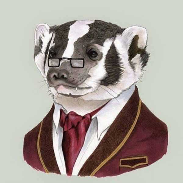 Барсук в очках