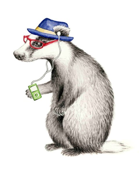 Барсук и человек