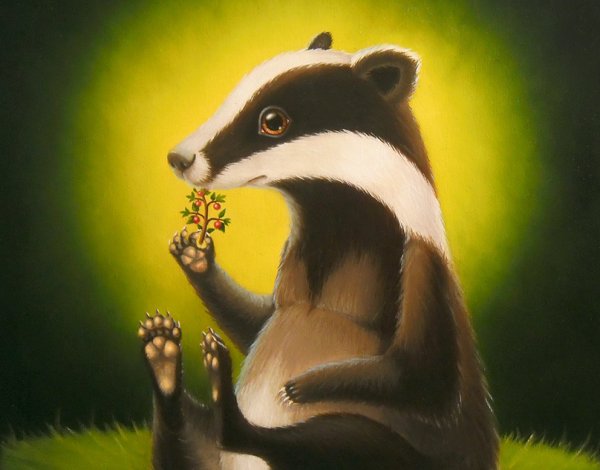 Барсук барсучок барсучок