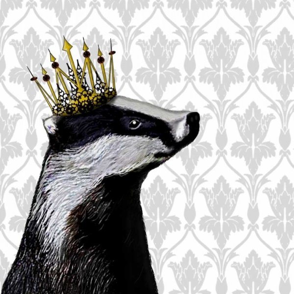 Смешной барсук