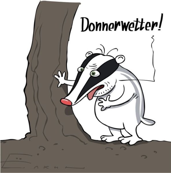 Барсук прикол