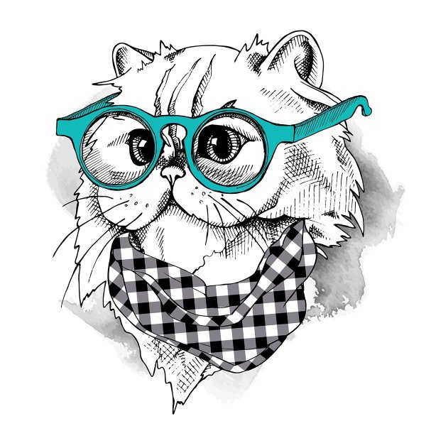 Кот в очках