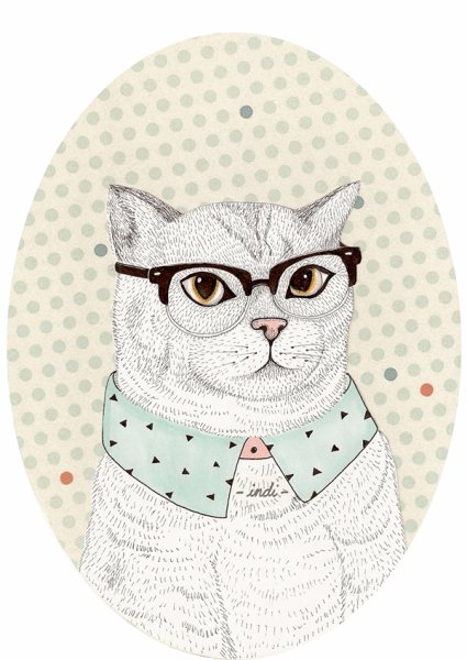 Модные коты иллюстрации