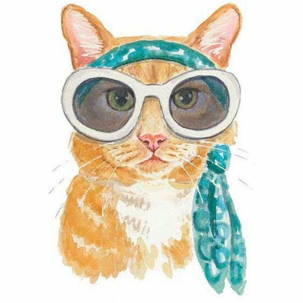 Кот в очках
