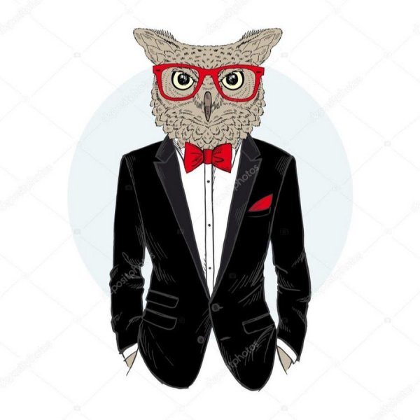 Кот в смокинге