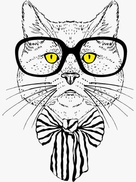 Кот в очках рисунок