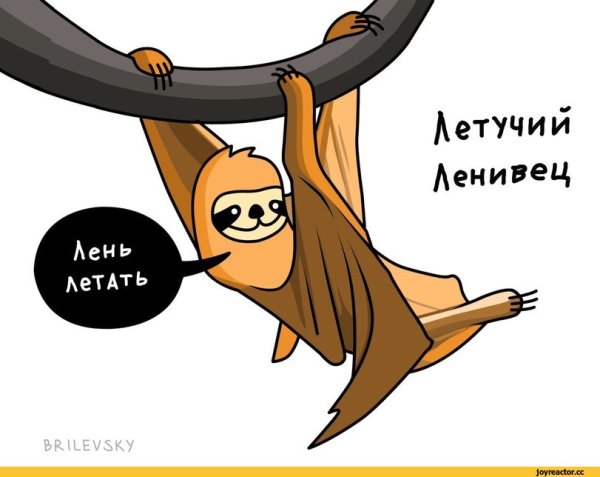 Ленивец Свободный от забот