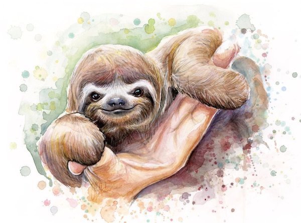 Ленивец живопись