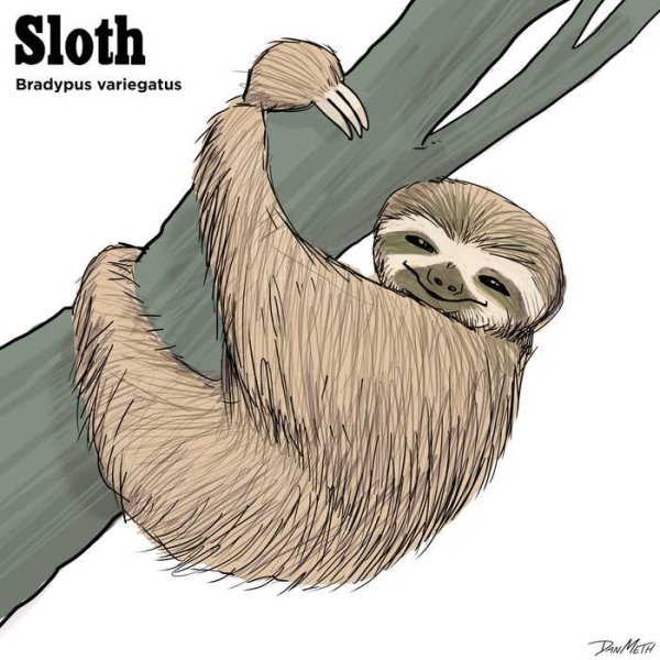 Ленивец стилизованный