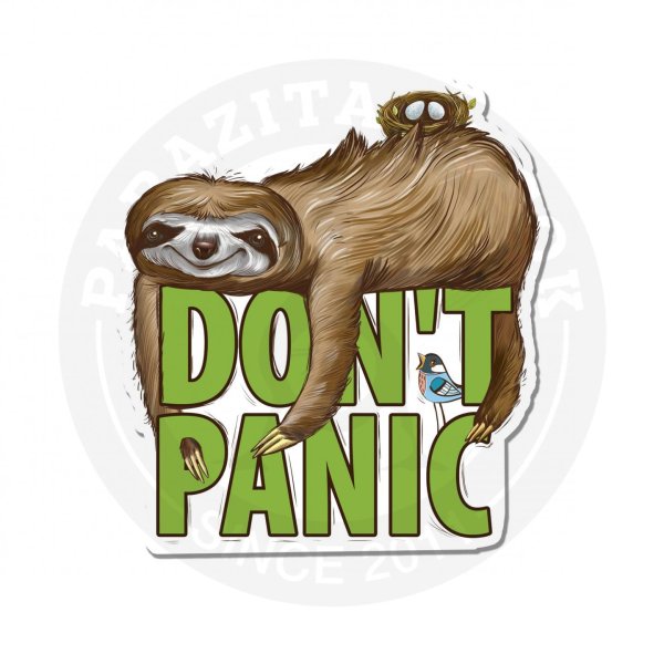 Спокойствие Ленивец