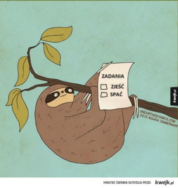 Ленивец карикатура