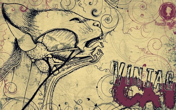 Обои на рабочий стол рисунки