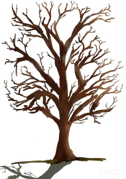 Дерево без листочков