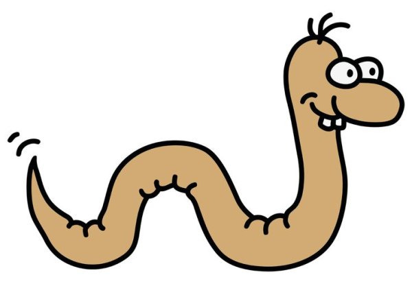 Веселый червяк