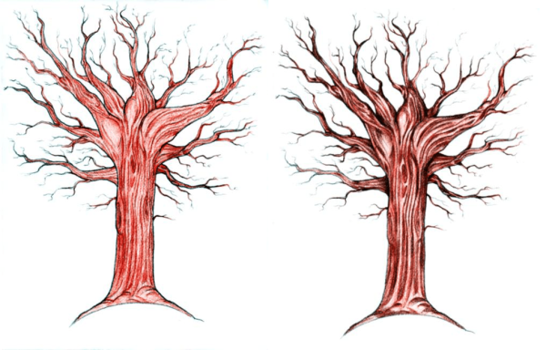 Ствол дерева красками