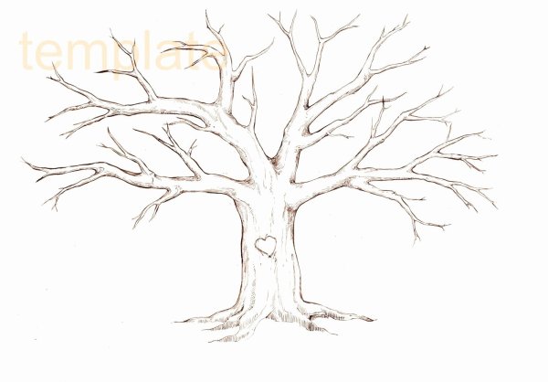 Дерево без листьев