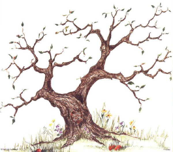 Ствол дерева для генеалогического дерева