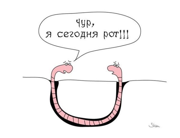 Шутки про глистов