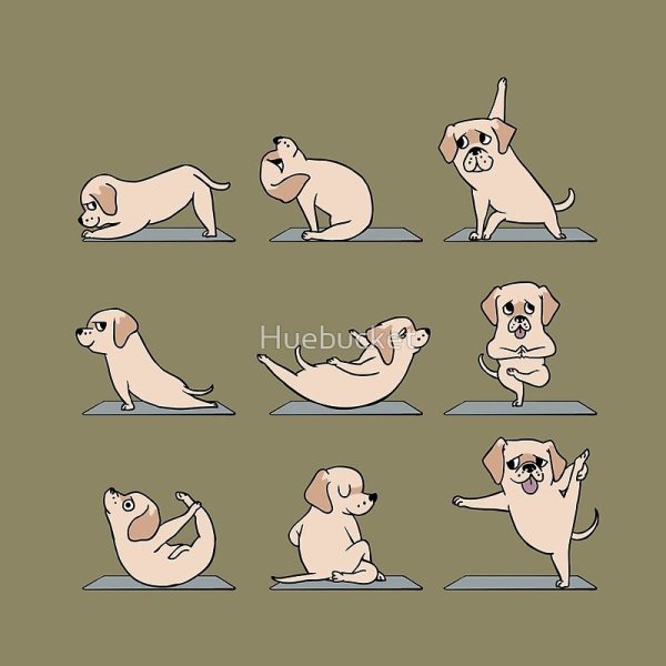 Смешной лабрадор рисунок