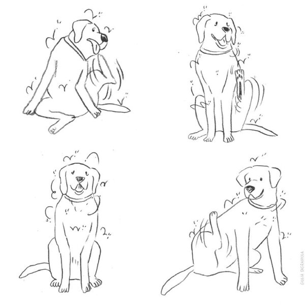 Мультяшные милые лабрадоры мультяшные