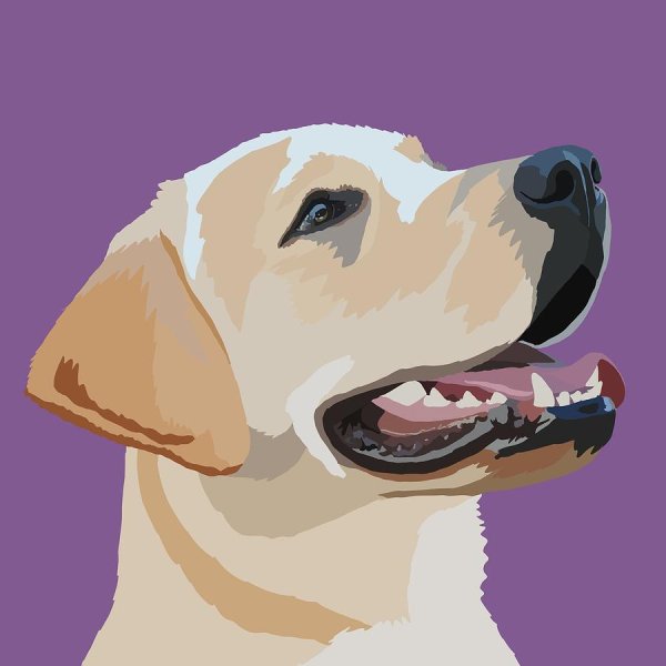 Собака лабрадор Графика