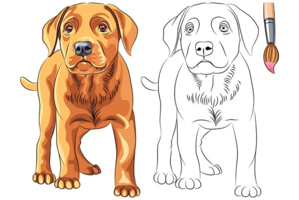 Портрет собаки