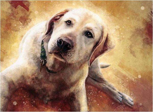 Ретривер референс