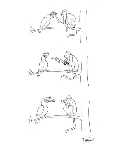 Шанхай танго комиксы