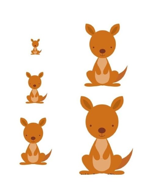 Разложи по размеру