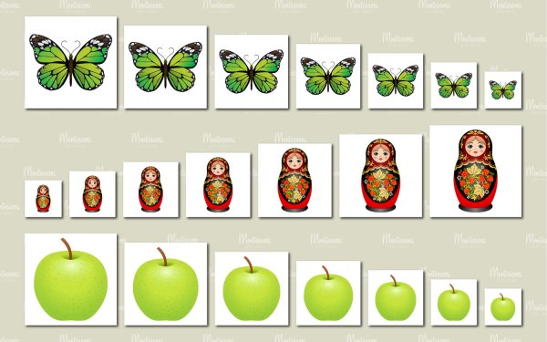 Предметы разной величины для дошкольников