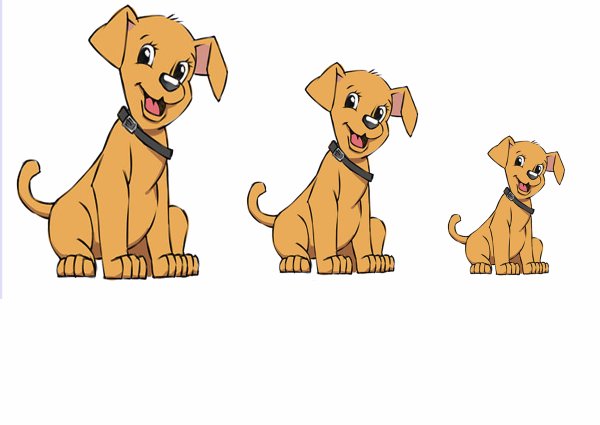 Расставь по размеру