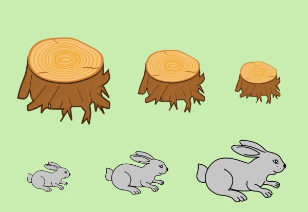 Раздаточный материал по ФЭМП