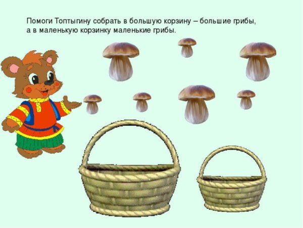 Задания для дошкольников Сравни предметы