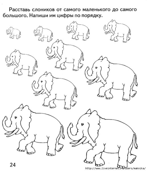 Медведь задания для детей