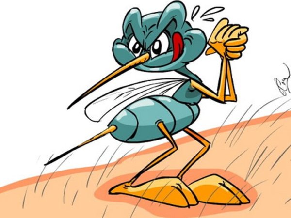 Прикольный комар