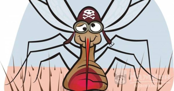 Пьяный комар