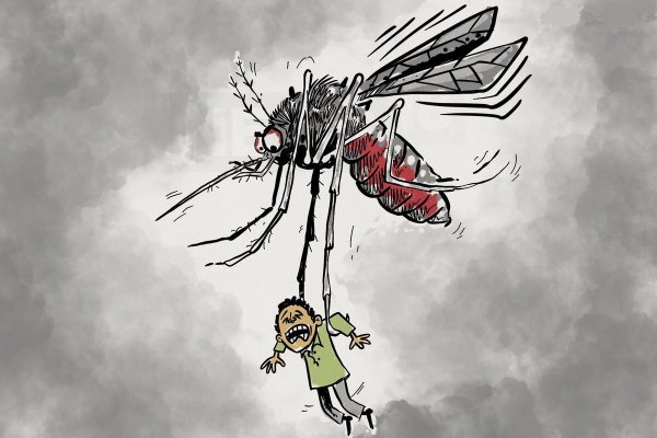 Комар убийца