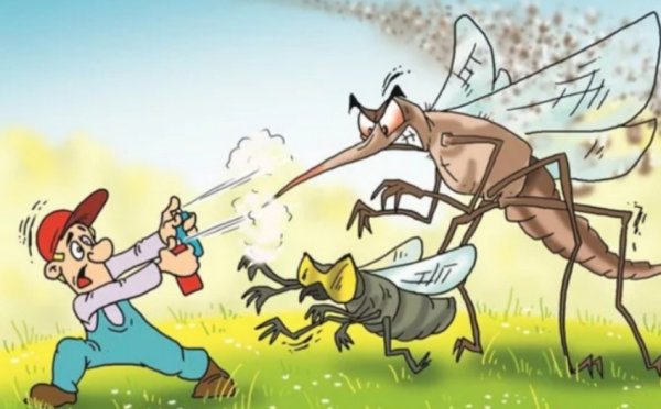 Насекомые карикатура