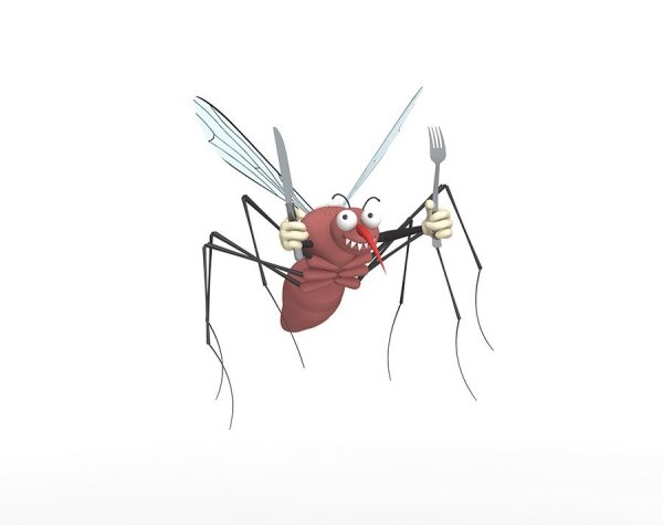 Веселый комар